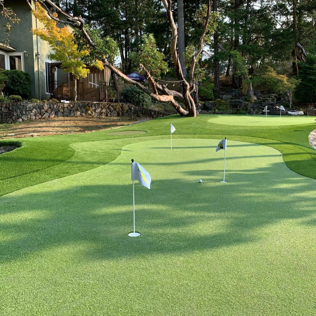 gorgeous backyard putting green